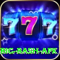 bbl big bash apk Turbo Pro v2.4.8