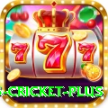 bet365 cricket Champion Pakistan