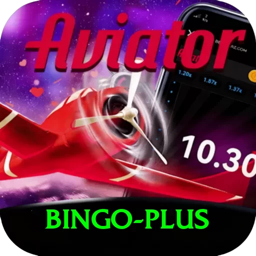 bingo Pro1 v2.4.1 - 2