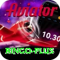 bingo Pro1 v2.4.1