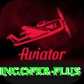 bingopkr Elite v3.0.5
