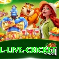 bpl live cricket Deluxe Pro v2.3.2