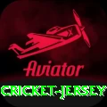 cricket jersey Ultimate Pro v2.0.4
