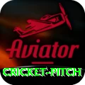 cricket pitch Pro Max v5.4.0