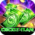 cricket team VIP Edition v3.8.8
