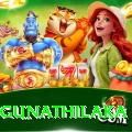 danushka gunathilaka Apps (Tools & Injectors) Plus v5.0.9