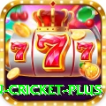 fastest ball in cricket Deluxe v5.7.2
