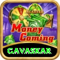 gavaskar Premium Edition v4.1.1