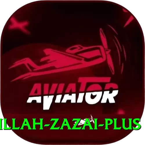hazratullah zazai - Plus Earning App - 2