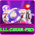 herschelle gibbs Gaming Turbo v3.1.9