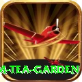 hile ilam tea garden App