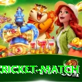 india cricket match Gold Pro v1.0.2