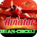 india pakistan cricket Gold v1.8.7