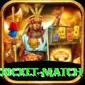 india pakistan cricket match Ultimate v5.9.6