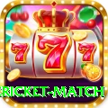 international cricket match Plus Edition v4.5.4