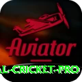 international cricket Bonus Deluxe v4.6.1