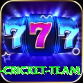 ireland cricket team Gold Edition v4.2.6