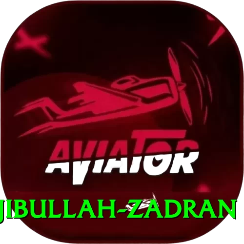 najibullah zadran Turbo Pro v2.1.2 - 2