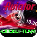 pakistan women cricket team Ultimate v1.3.2