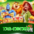 t20 cricket Gold v5.1.7