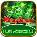 test cricket Turbo Pro v4.6.0