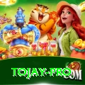 tojay Max Pro v4.5.8