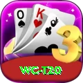 wc t20 Master v1.3.5