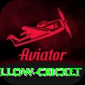 willow cricket Elite v3.7.3
