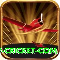 www cricket com Deluxe Pro v5.0.2