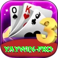 yaywin Pro Casino App
